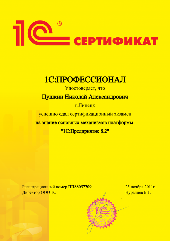 1С:Профессионал. Платформа 1С:Предприятие 8.2 Пушкин Николай